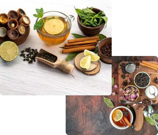 Best Ayurvedic Doctors In Faridabad